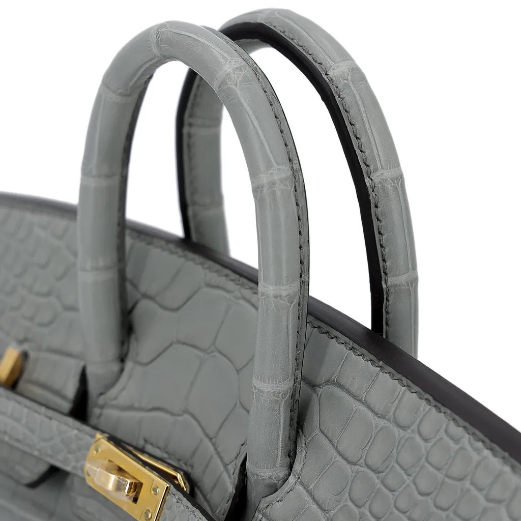 HERMÈS Matte Alligator Birkin 20 handbag in Gris Ciment with Gold hardware