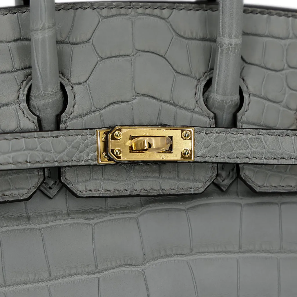 HERMÈS Matte Alligator Birkin 20 handbag in Gris Ciment with Gold hardware