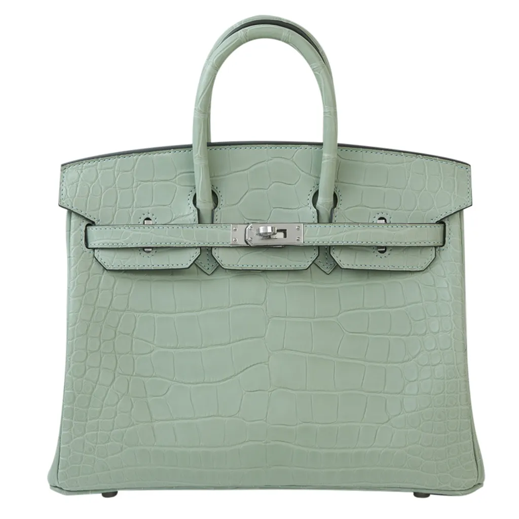 Hermes bag white alligator best sale