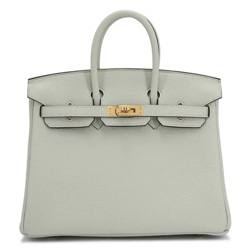 Birkin 25 Gris Neve