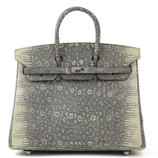 Birkin 25 Ombre