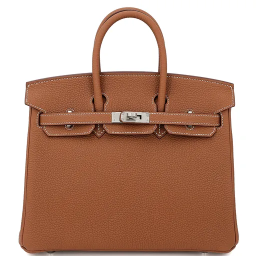 Birkin 25 Gold (37)