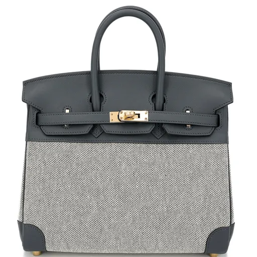 Birkin 25 Gris misty (H0)