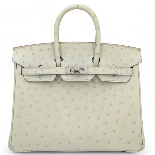 Birkin 25 Gris Perle (80)