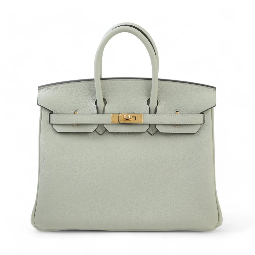 Birkin 25 Gris Neve (0W)
