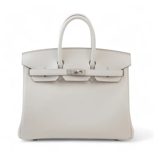 Birkin 25 Gris Perle (80)