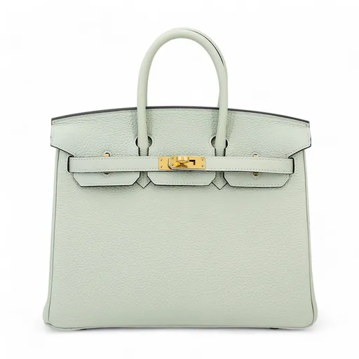 Birkin 25 Gris Neve (0W)