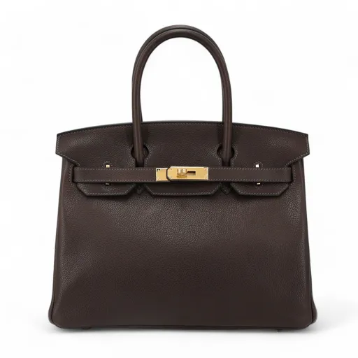 Birkin 30 Ebene (46)