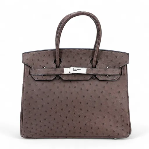 Birkin 30 Ebene (46)