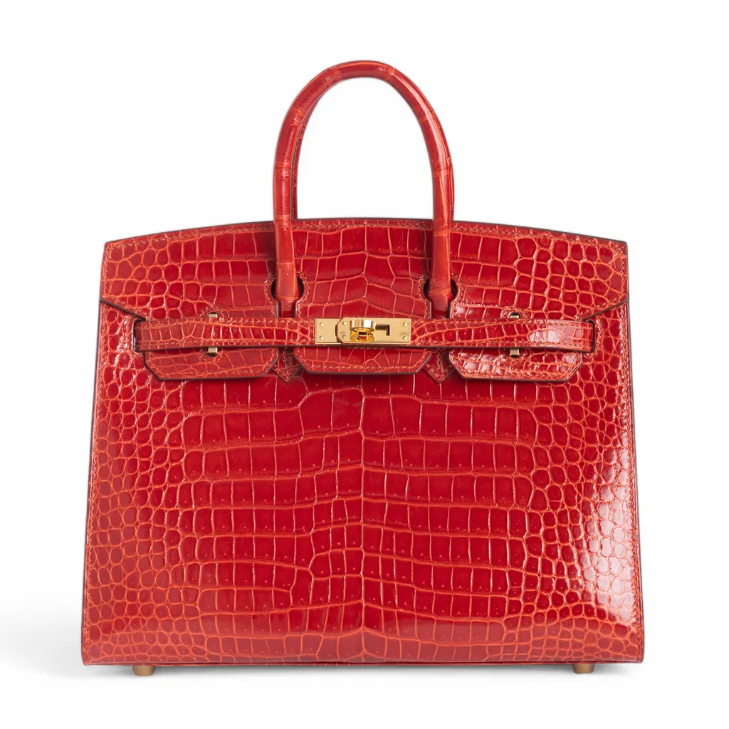 Birkin 25 Sellier Sanguine (9M)