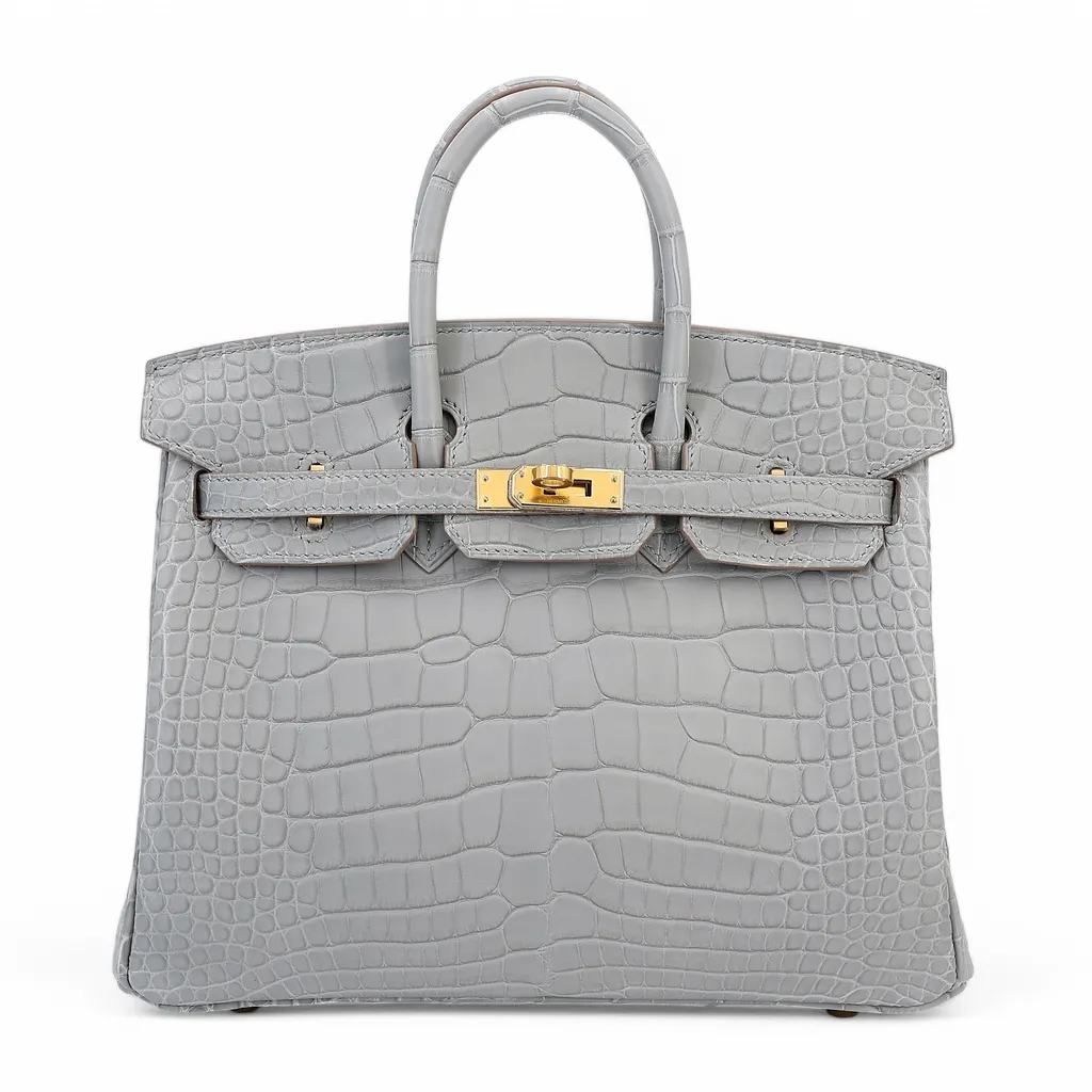 Birkin 25 Gris Perle (80)