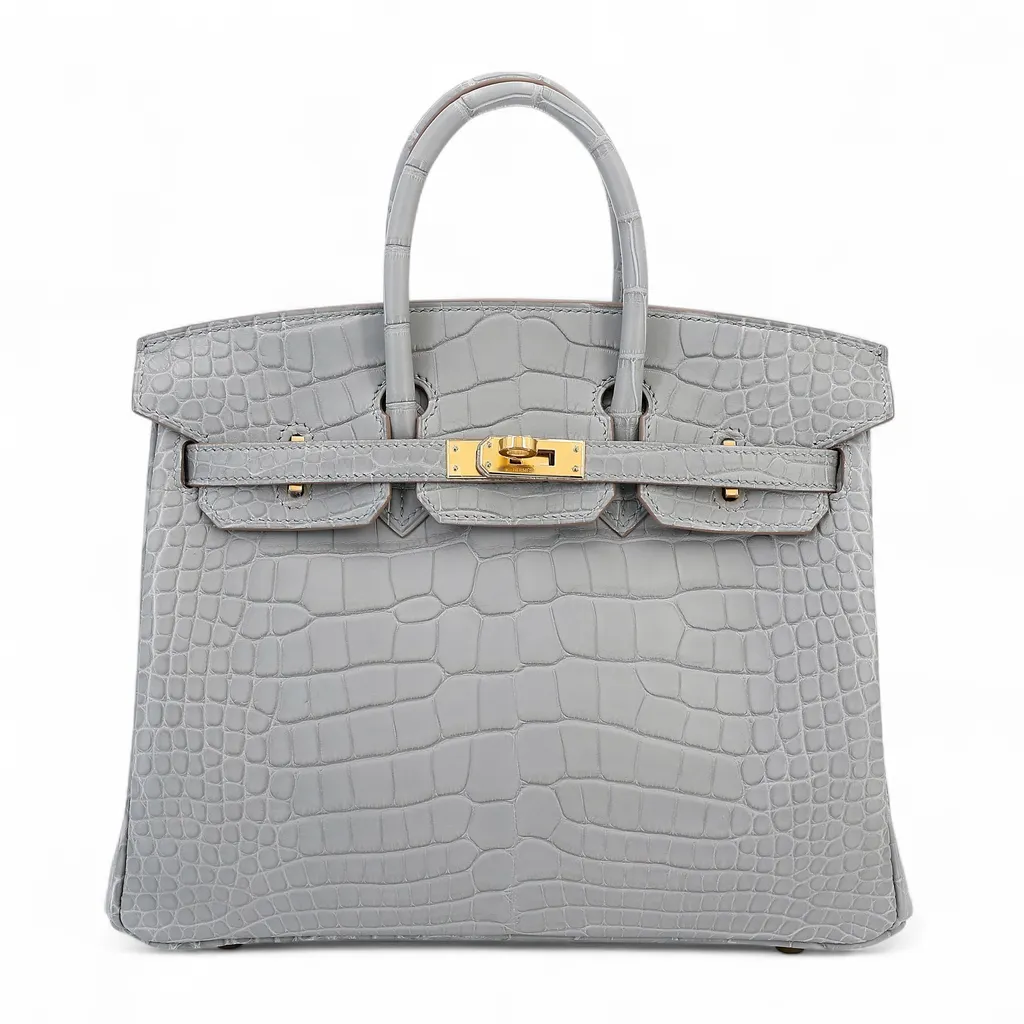 Birkin 25 Gris Perle (80)