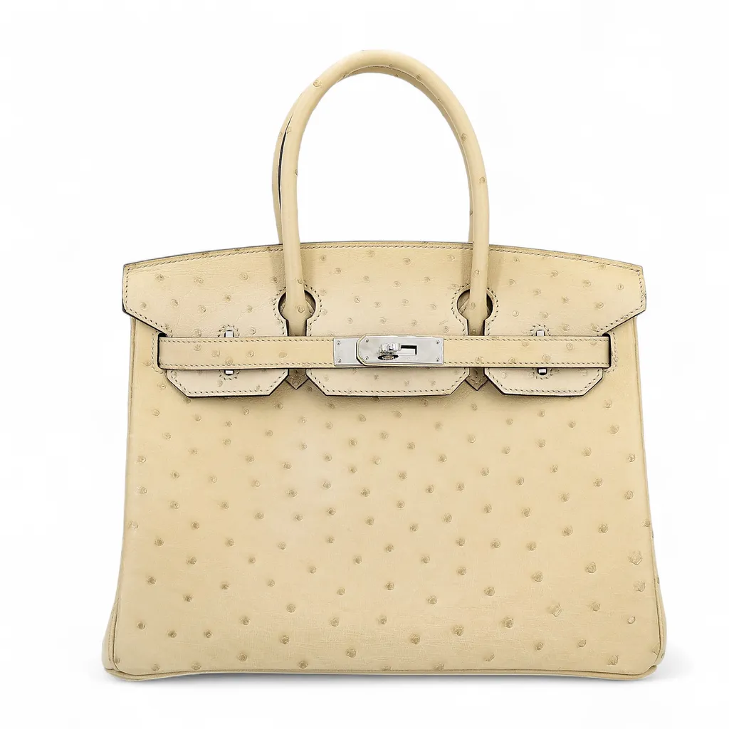 Birkin 30 Parchemin (3C)