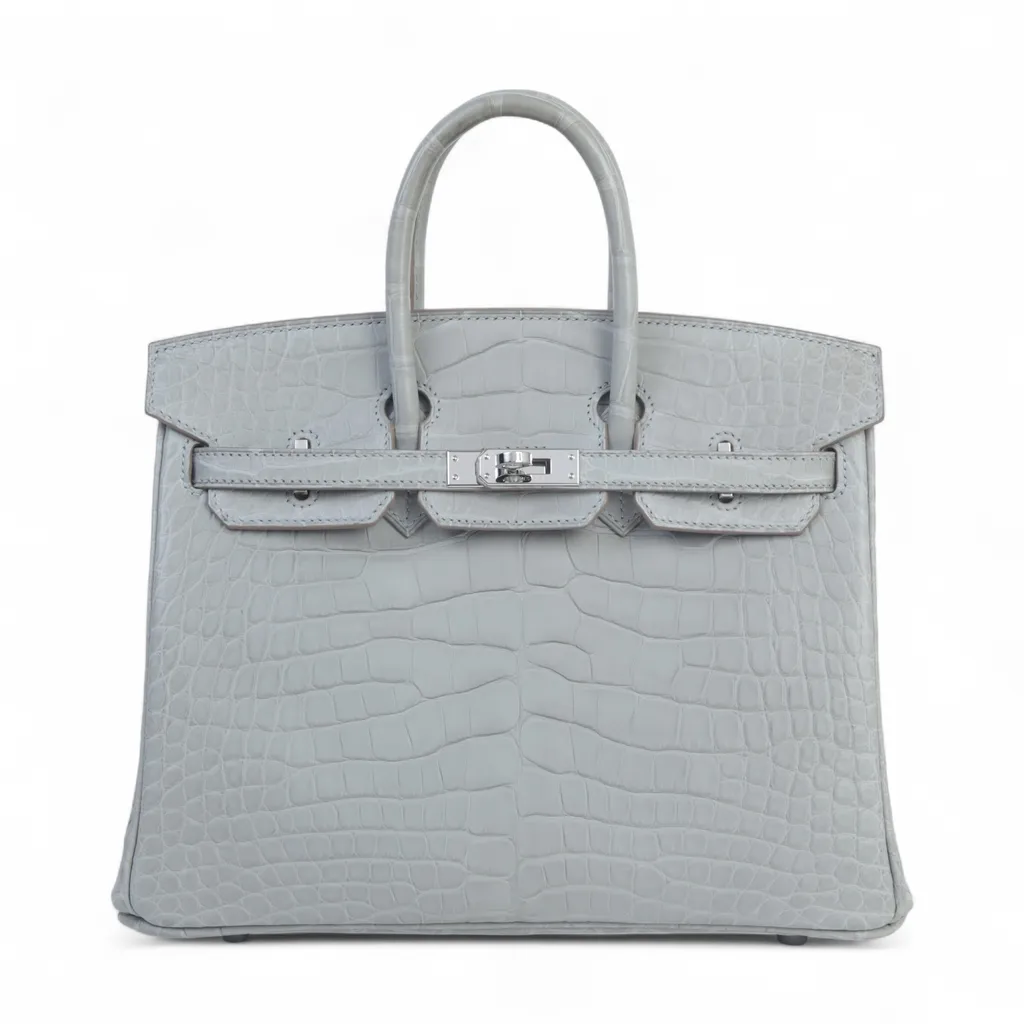 Birkin 25 Gris Perle (80)
