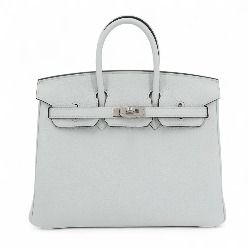 Birkin 25 Gris Platine (N4)