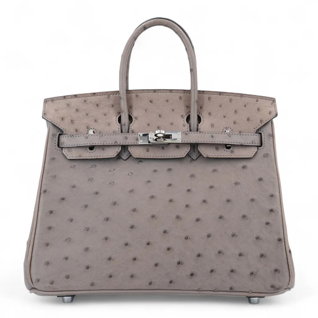 Birkin 25 Gris Tourterelle (81)