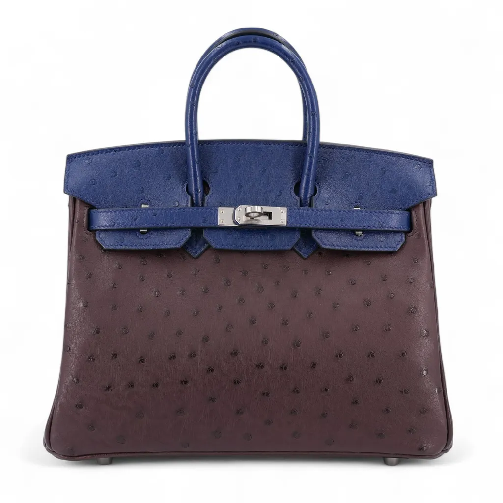 Birkin 25 Roug Sellier (0G) Bleu Iris (77)