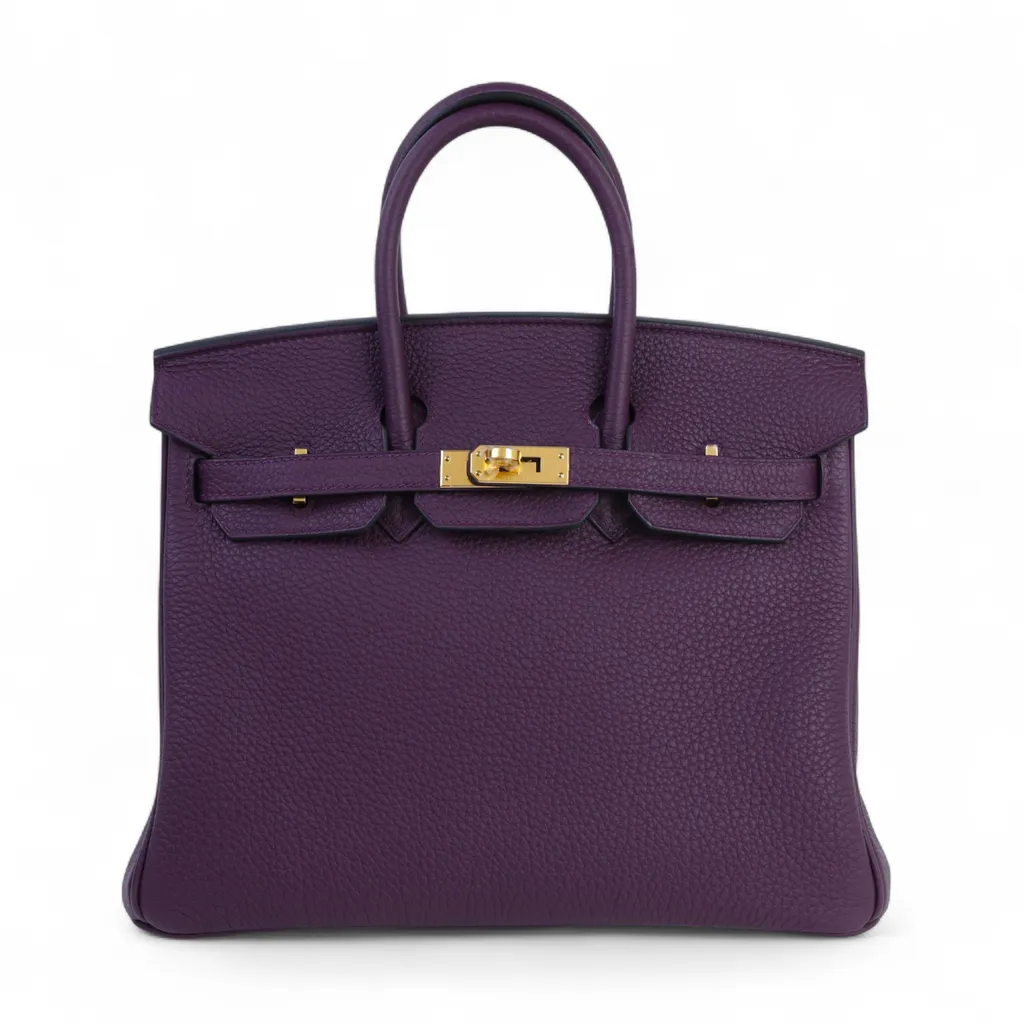 Birkin 25 Cassis (N5)