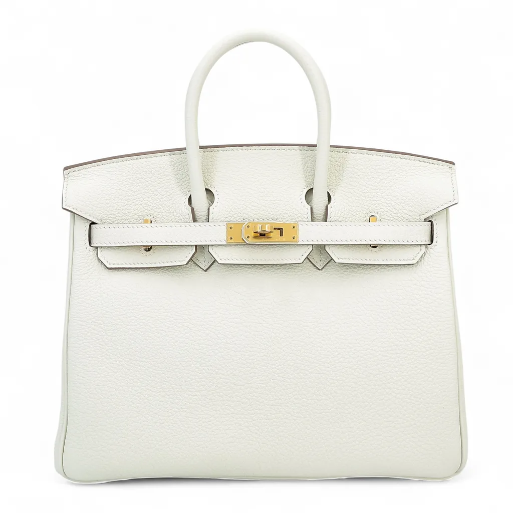 Birkin 25 Mushroom (0T)