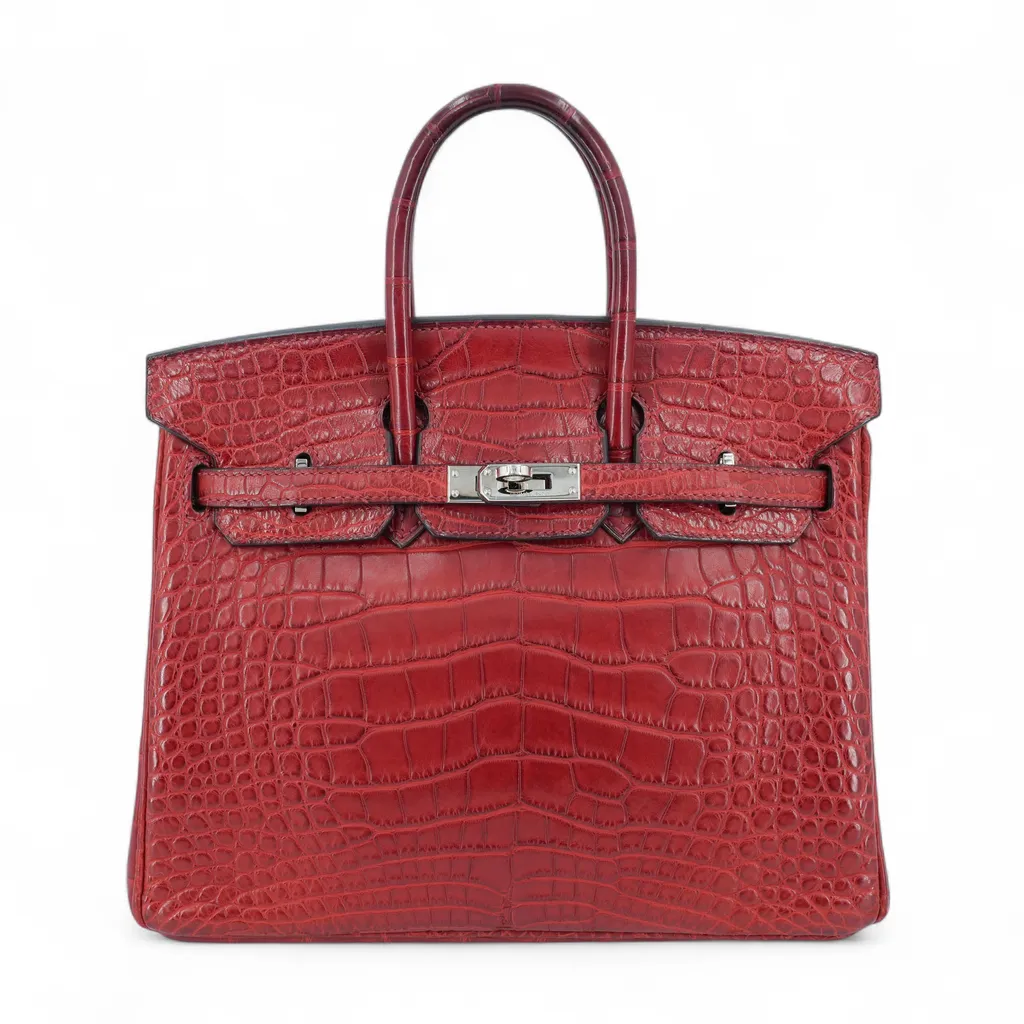 Birkin 25 Rouge H (55)