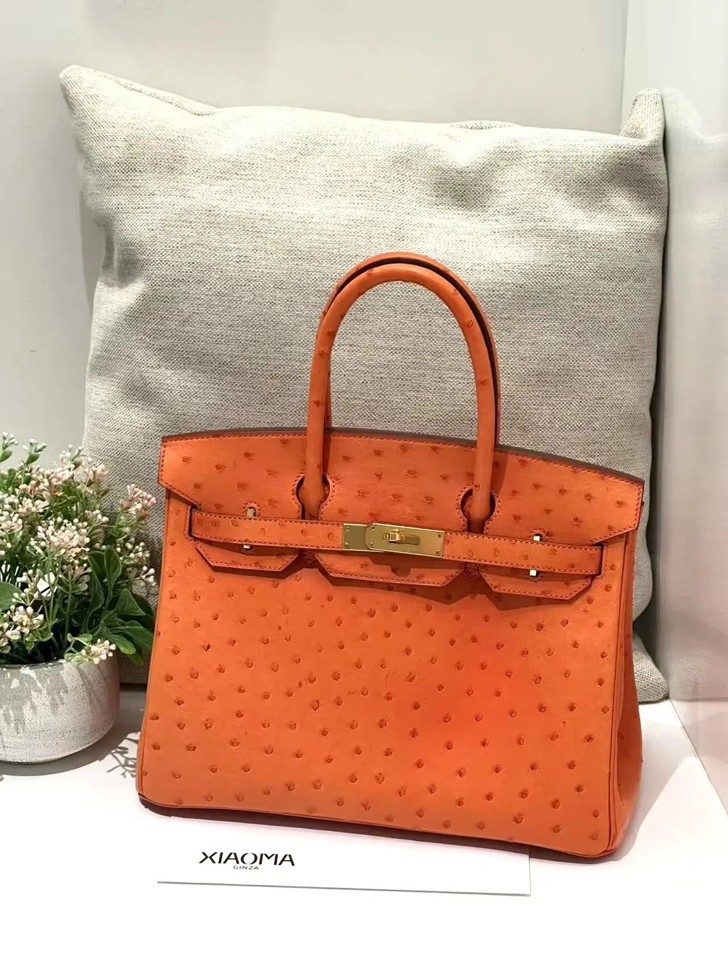 https://img.ginzaxiaoma.com/images/20250716/30032507_上身图1_463.jpg