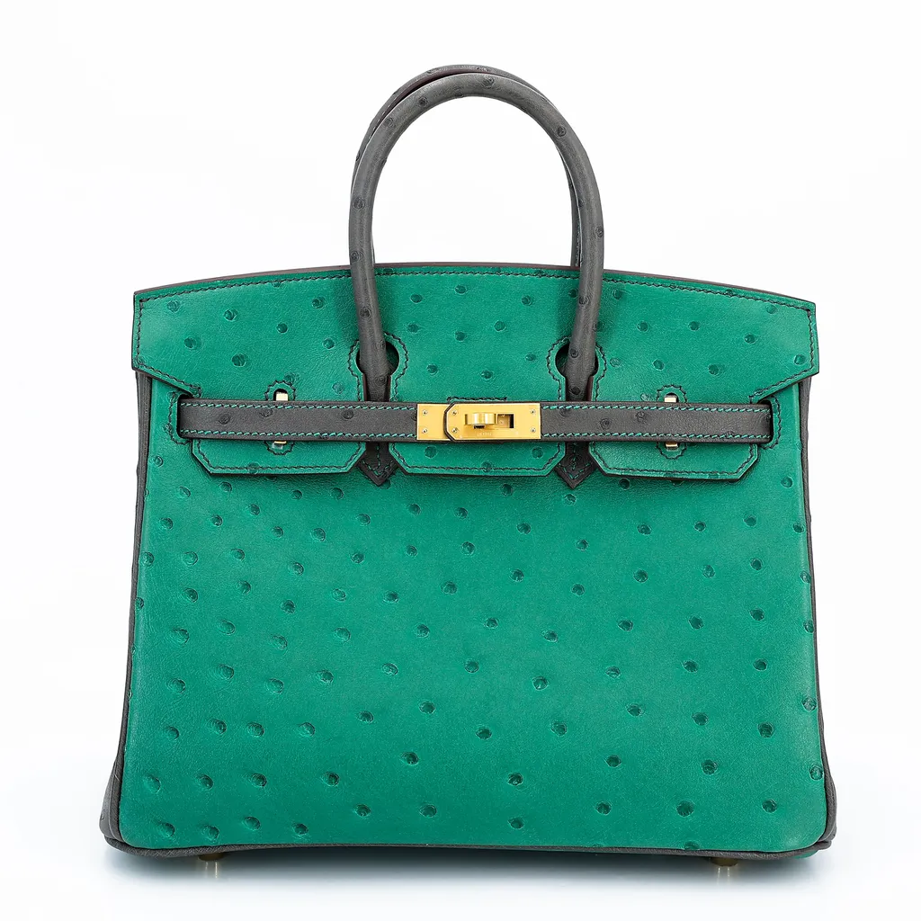 Birkin 25 HSS Graphite (88) Vert Vertigo (U4)