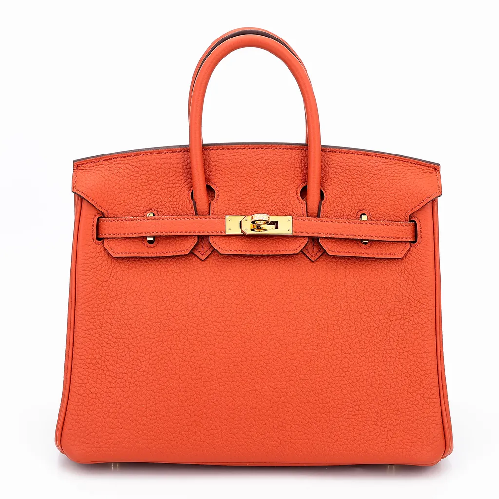 Birkin 25 Terre Battue (R1)