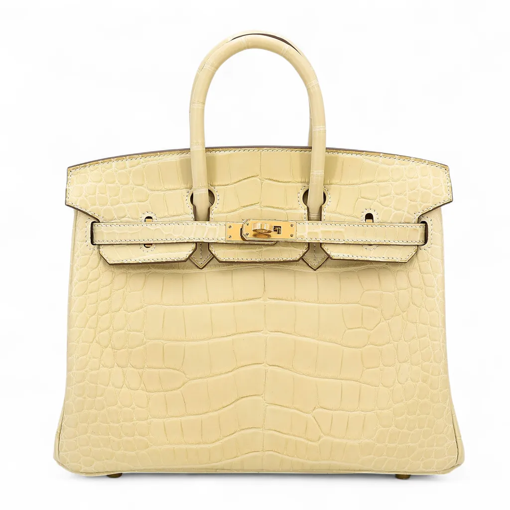 Birkin 25 Vanille (Y1)