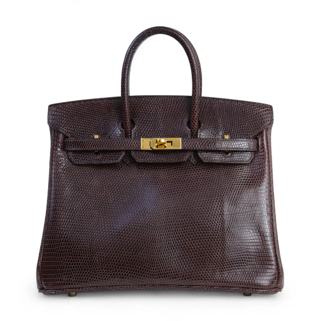 Birkin 25 Cocaon (48)