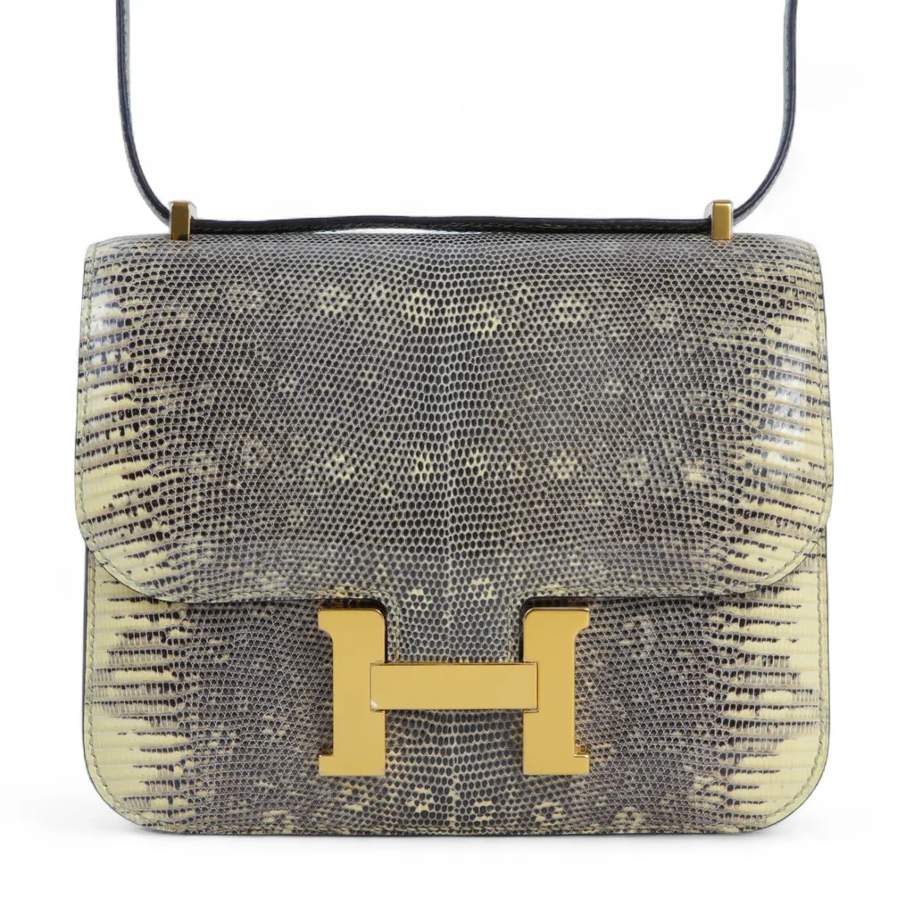 Constance Mini Ombre (1B)
