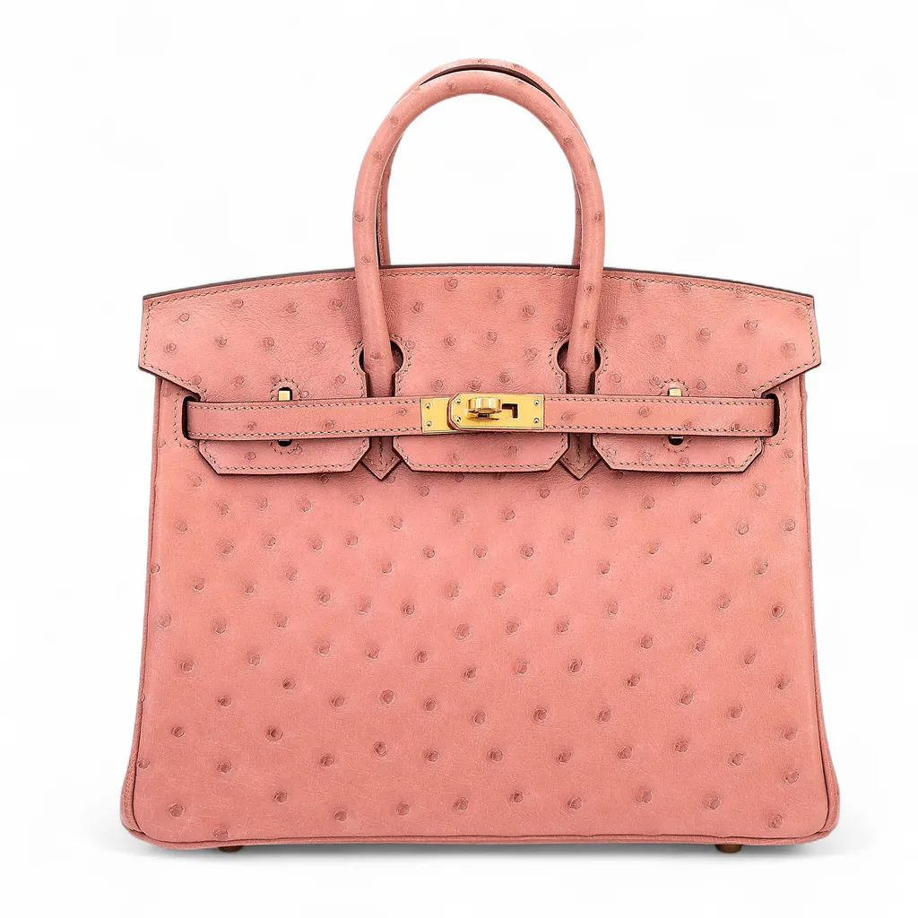 Birkin 25 Terre Cuite (94)