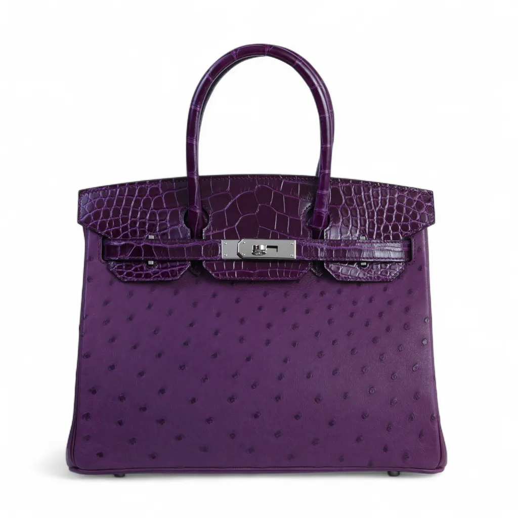 Birkin 30 Touch Violine (5C)
