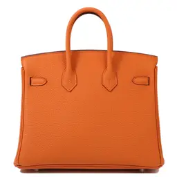 Hermes birkin 25 orange Clearance